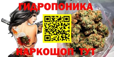 ПСИЛОЦИБИНОВЫЕ ГРИБЫ Гусиноозёрск