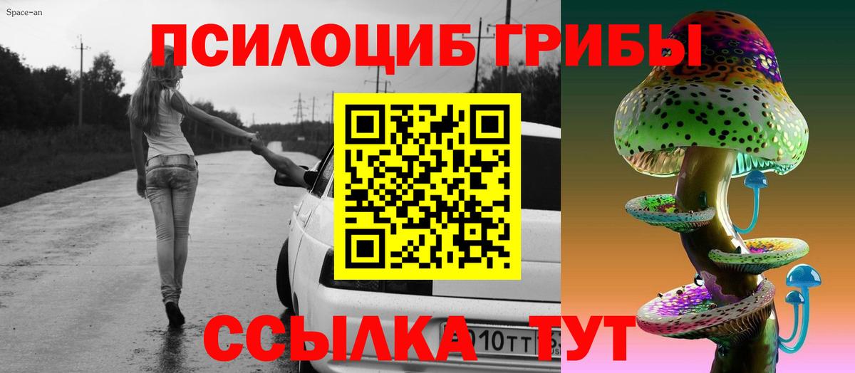 Псилоцибиновые грибы мицелий Михайловка